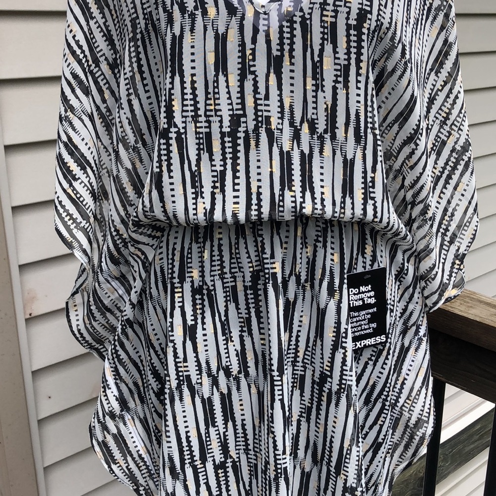 Express Sheer Summertime Dress - Picture 3 of 14